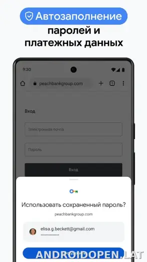 Google Chrome скриншот 6