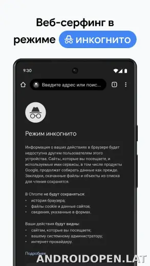 Google Chrome скриншот 3